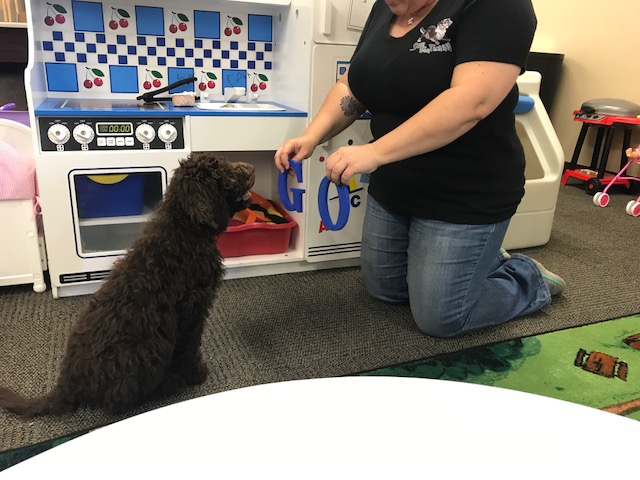 Therapy Dog Helps&nbsp;Kids